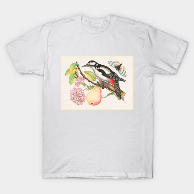 Bird Perched on a Branch with a Pear, Blossoms, and Leaves (18th Century) T-Shirt by WAITE-SMITH VINTAGE ART